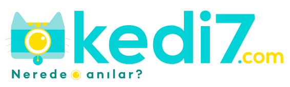 Kedi7 Logo