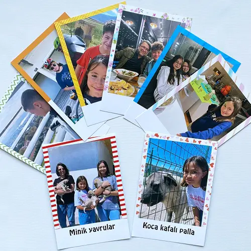 Album