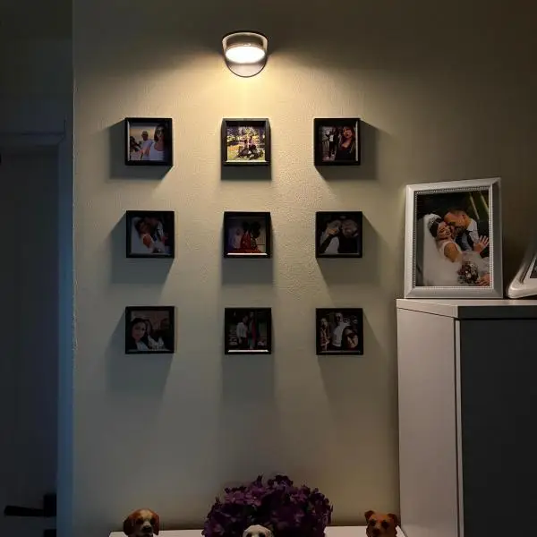 Comment Picture